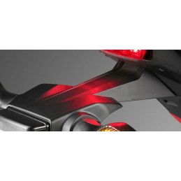 Support Garde Boue Arrière Honda CBR 650F