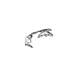 Carénage Face Avant Kawasaki NINJA 650 2017 2018 2019
