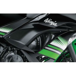 Cowling Center Right Kawasaki NINJA 650 2017 2018 2019