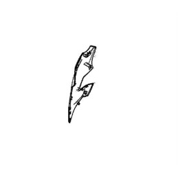 Face Avant Droit Honda CB650F 2017 2018