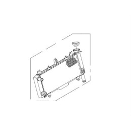 Radiateur Kawasaki NINJA 650