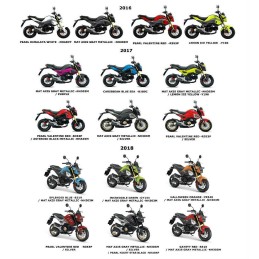 Carénage Reservoir Droit Honda Msx 125SF