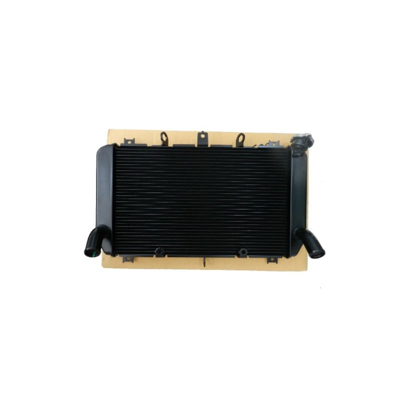 Z900 Radiator Radiator Kawasaki Z900 2017 2018 2019 39061-0745