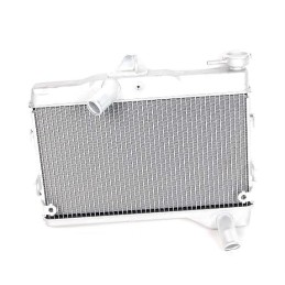 Radiator Yamaha MT-07 2018 2019 2020