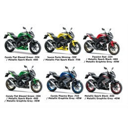 Garde Boue Avant Kawasaki Z300