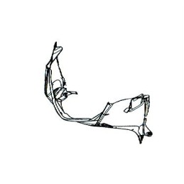 Couvre Sous Phare Honda Forza 300 2018 2019 2020