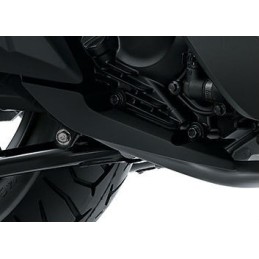 Protector Pipe Honda Forza 300 2018 2019 2020