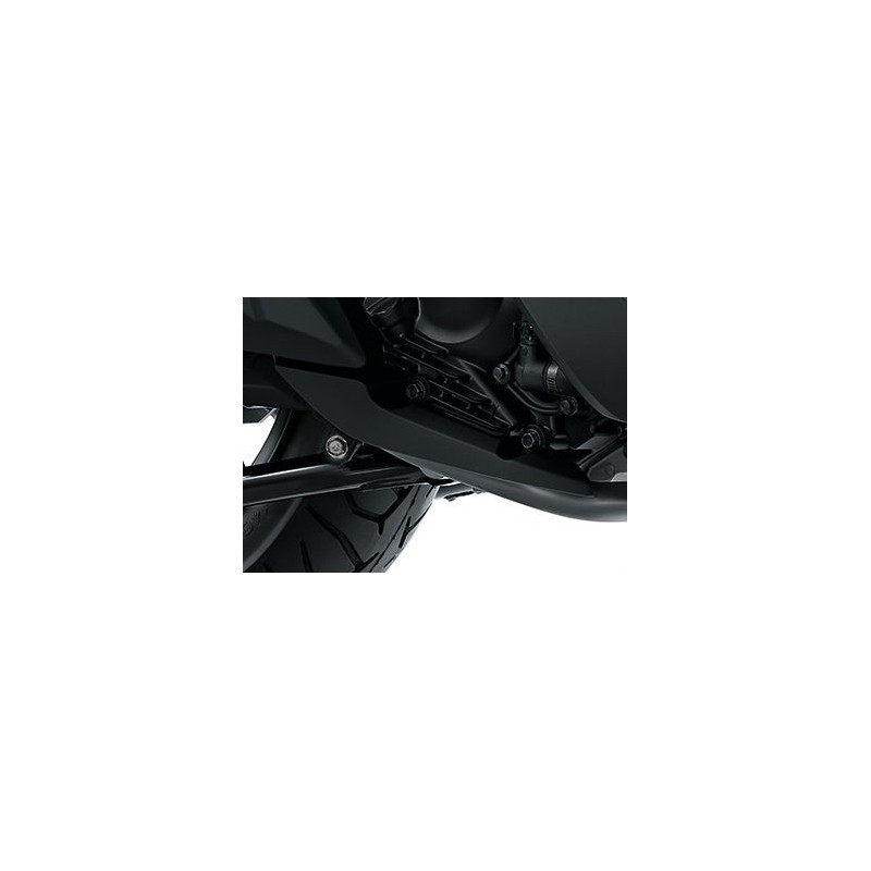 Protector Pipe Honda Forza 300 2018 2019 2020
