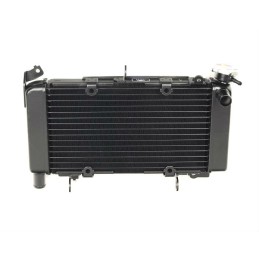 Radiator Honda CB500X