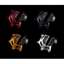 Protection Moteur Droit Bikers Ducati Monster 795  / 796