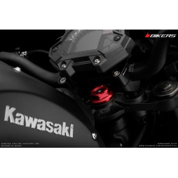 Vis Centrale Bikers Kawasaki Z900