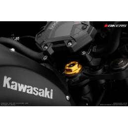 Vis Centrale Bikers Kawasaki Z900