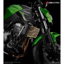 Grille Protection Radiateur Titane Bikers Kawasaki Z650