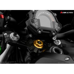 Vis Centrale Bikers Kawasaki Z650