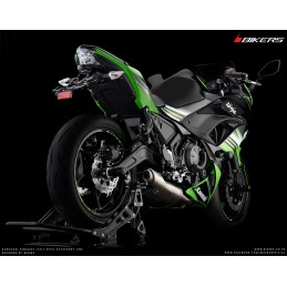 Vis Bras Oscillant Bikers Kawasaki NINJA 650