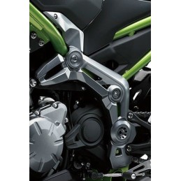 Couvre Pivot Gauche Kawasaki Z900 2017 2018 2019