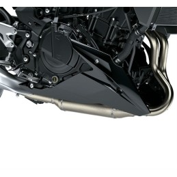 Accessory Lower Cowling Kawasaki Z400