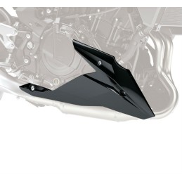 Accessory Lower Cowling Kawasaki Z250