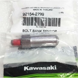 Bolt Bank Sensor Kawasaki Z400