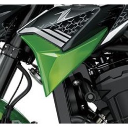 Carénage Écope Gauche Kawasaki Z900 2020 2021
