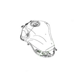 Fuel Tank Kawasaki Z900 2020 2021