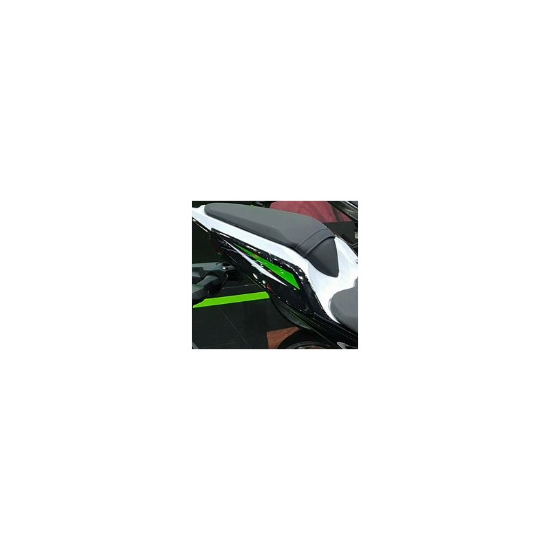 Pattern Rear Cover Right Kawasaki Z250