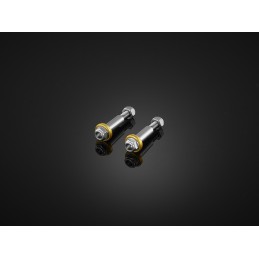 Stainless Bolts Bikers Honda