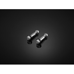 Stainless Bolts Bikers Honda