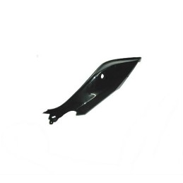 Rear Cover Left Kawasaki Z250