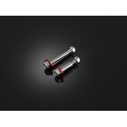 Vis Stainless Leviers Bikers Kawasaki