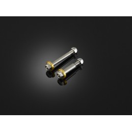 Vis Stainless Leviers Bikers Kawasaki