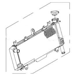 Radiateur Kawasaki Z650 2020 2021