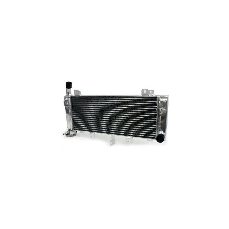 Radiateur Kawasaki Z650 2020 2021