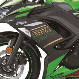 Set Patterns Cowling Side Left Kawasaki NINJA 650 2020 Green KRT