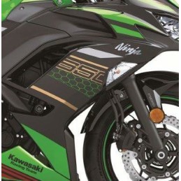 Set Patterns Cowling Side Right Kawasaki NINJA 650 2020 Green KRT