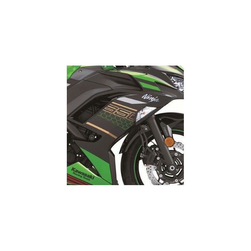 Set Patterns Cowling Side Right Kawasaki NINJA 650 2020 Green KRT