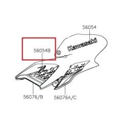 Logo Z Ecope Kawasaki Z900 2020 2021