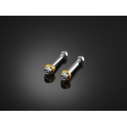 Stainless Bolt for Levers Bikers Kawasaki Z900RS