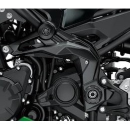 Couvre Pivot Gauche Kawasaki Z900 2020 2021