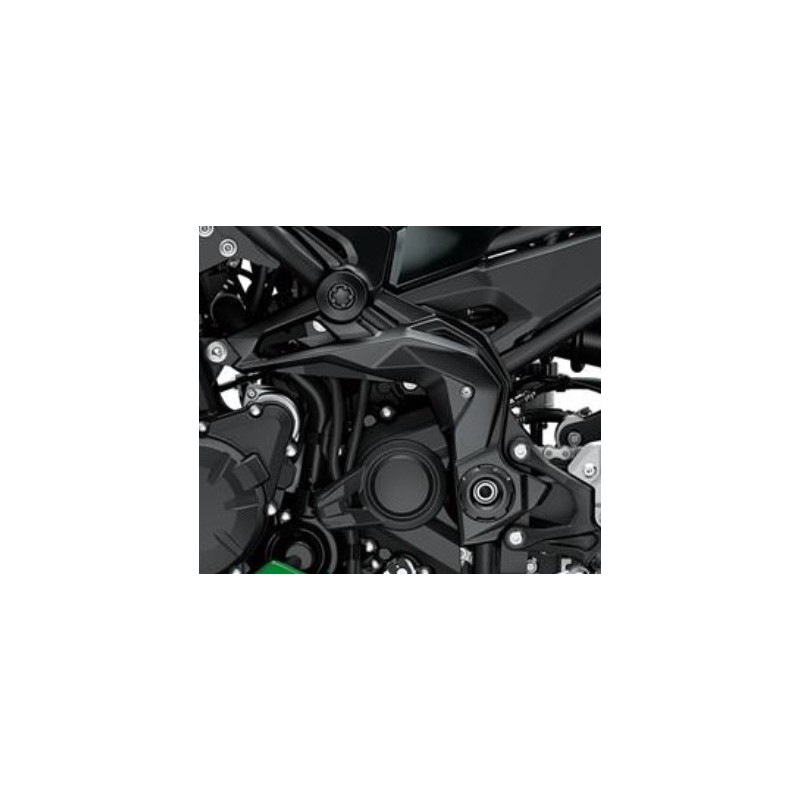 Cover Pivot Left Kawasaki Z900 2020 2021