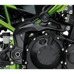 Cover Pivot Right Kawasaki Z900 2020 2021