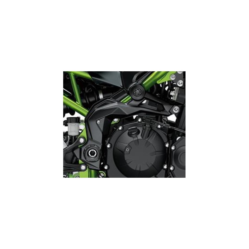 Couvre Pivot Droit Kawasaki Z900 2020 2021