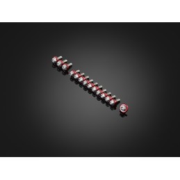 Stainless Bolts Set for Fairing Bikers Honda ADV 150