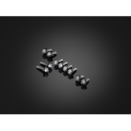 Stainless Bolts Set for Fairing Bikers Kawasaki ZX-25R