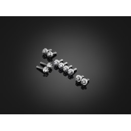 Stainless Bolts Set for Fairing Bikers Kawasaki ZX-25R