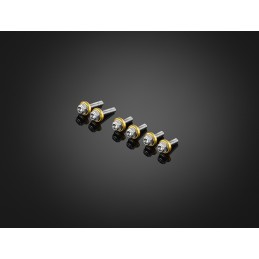 Kit Vis Bulle Saute Vent Bikers Kawasaki ZX-25R