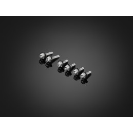 Stainless Bolts Set for Windshield Bikers Kawasaki ZX-25R