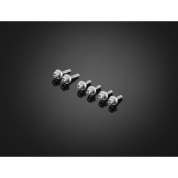 Kit Vis Bulle Saute Vent Bikers Kawasaki ZX-25R