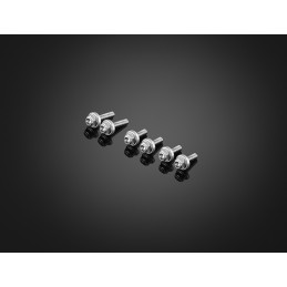 Stainless Bolts Set for Windshield Bikers Kawasaki ZX-25R