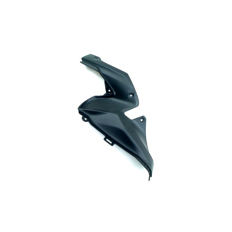 Intérieur Ecope Partie Arrière Droit Kawasaki Z900 2020 2021